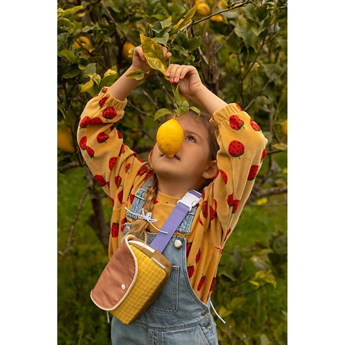 Sticky Lemon Fanny Pack Small Farmhouse Envelope Harvest Moon 2 Sticky Lemon Fanny Pack Small Farmhouse Envelope Harvest Moon - Afbeelding 2