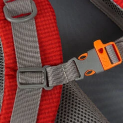 New Rebels ® Kinley - Rugtas - Schooltas - Vrijetijdstas - 35 Liter - Nylon - Rood 14 New Rebels ® Kinley - Rugtas - Schooltas - Vrijetijdstas - 35 Liter - Nylon - Rood -Trendy Tassenwinkel new rebels kinley rugtas schooltas vrijetijdstas 3 20